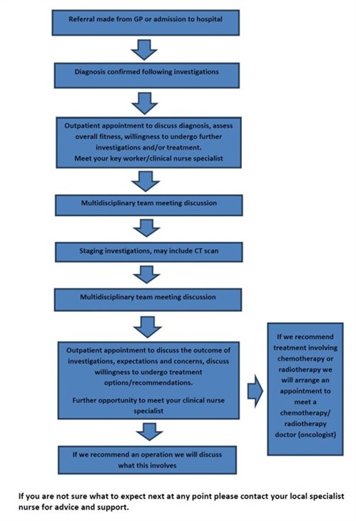 Cancer pathway.jpg